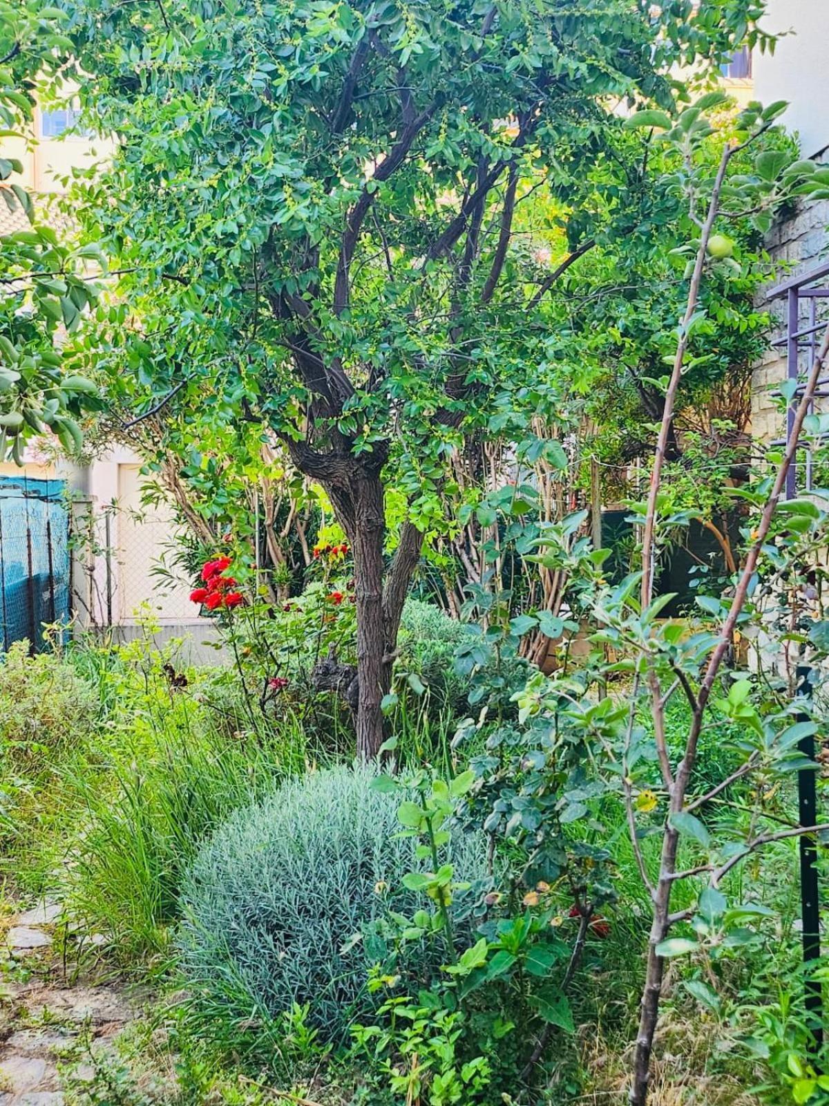 Appartement Paisible Pour 4 Personnes Montpellier Esterno foto